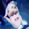 不离不弃的头像