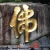 心想事成的头像