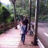 ZXZPGYH的头像