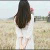 燕子的头像