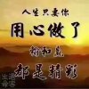 清风月影的头像