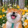 素颜的头像