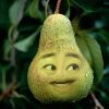 不玩了的头像