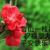 合家幸福的头像