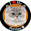 远去的波斯猫的头像