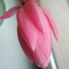 ……的头像