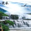 烛光的头像