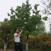 于哥的头像
