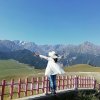 栀子花开（小号）的头像
