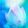 淡泊的头像
