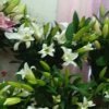 今生无缘的头像