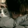 cf国宝轩轩的头像