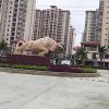 美好回忆的头像