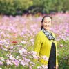 ～平平淡淡的头像