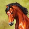 雄骏马的头像
