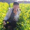 美丽人生的头像
