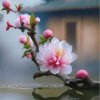 李梅的头像