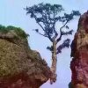 有梦的人的头像