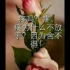 虎距金山的头像