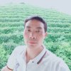 记住你的头像