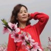 淡忘如思（暂退）的头像