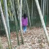 岁月静好(迷路的五线谱)的头像