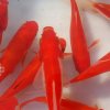 春暖花开的头像