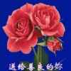 不老的夕阳的头像