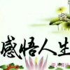 沉默是金的头像