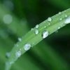 云荷听雨的头像