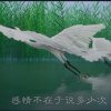 1213的头像