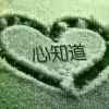 心字的头像