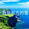 北方的雪的头像