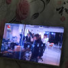 自由飞翔的头像