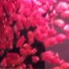 心情。的头像