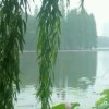 龙宝随缘（停币）的头像