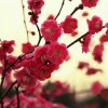 笑看红尘的头像