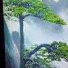 知足常乐的头像