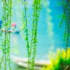 春风的头像