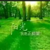 。的头像