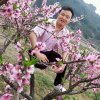 张发建的头像