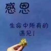 《珍惜》（拒币)忙的头像