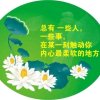 宁静致远的头像