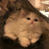 我就是我的头像