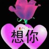 想你友访必回的头像