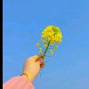 批发童车的头像