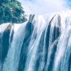 一只舟【117徒】月桂树的愿望的头像
