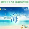 艳波的头像