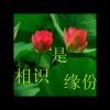 浪静天涯的头像