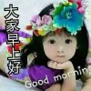 蒲公英de梦想的头像